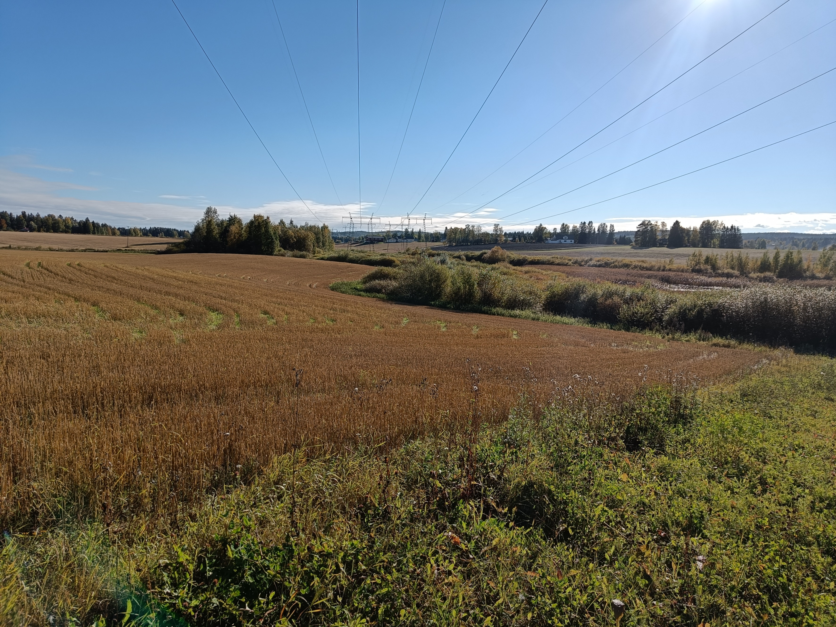 Maisemavaikutusten arviointi