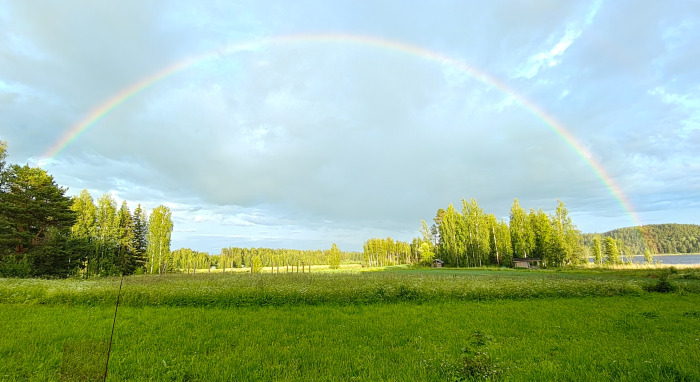 Avointa maastoa tutkimuskohteella